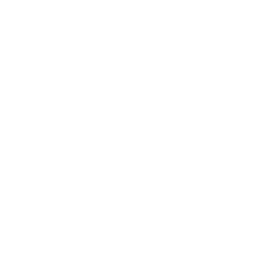twitter icon